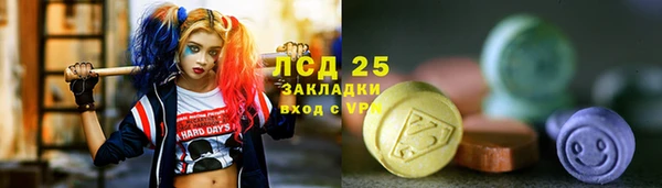 гашик Алексеевка