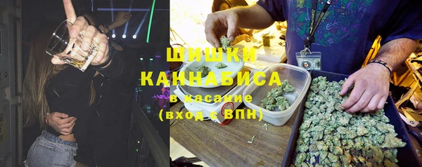 гашик Алексеевка