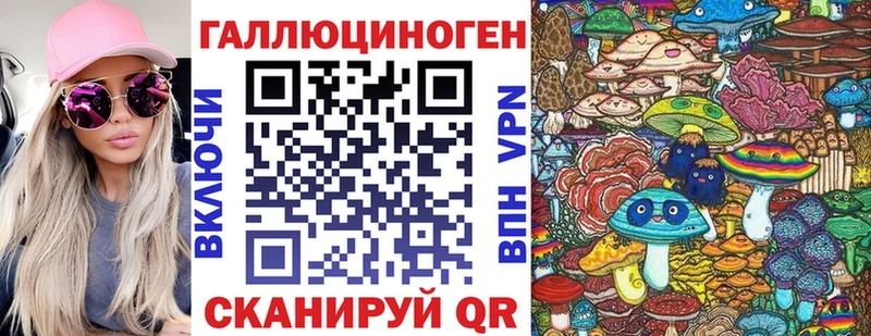 закладка  Каневская  Галлюциногенные грибы мицелий 