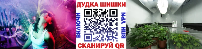 Марихуана план  Каневская 
